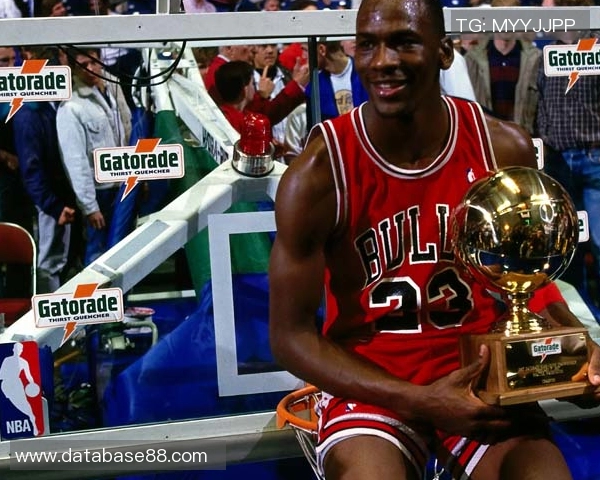 莱娅阿莱桑德里这庆祝太疯狂了