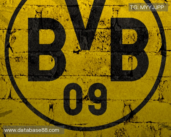 恰尔汗奥卢任意球大师