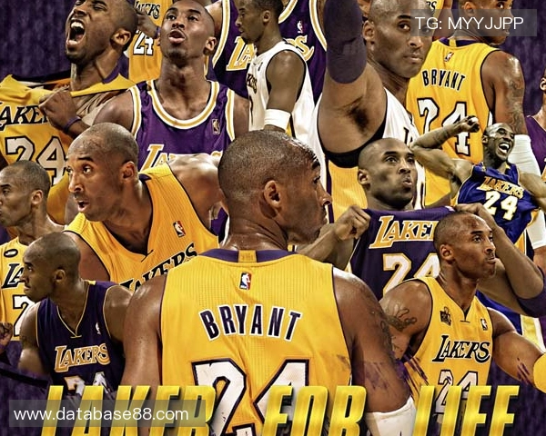 费兰托雷斯哈维信任的得分点